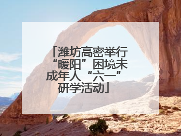 潍坊高密举行“暖阳”困境未成年人“六一”研学活动