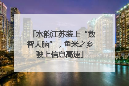 水韵江苏装上“数智大脑”，鱼米之乡驶上信息高速