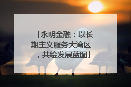 永明金融：以长期主义服务大湾区，共绘发展蓝图