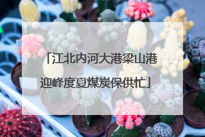 江北内河大港梁山港迎峰度夏煤炭保供忙