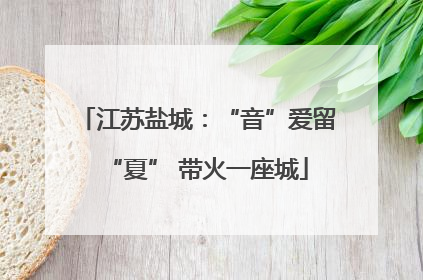 江苏盐城：“音”爱留“夏” 带火一座城