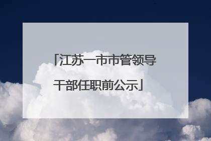 江苏一市市管领导干部任职前公示