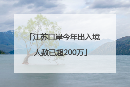 江苏口岸今年出入境人数已超200万