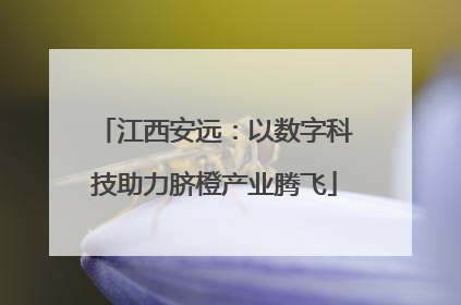 江西安远：以数字科技助力脐橙产业腾飞