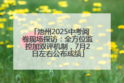 池州2025中考阅卷现场探访：全方位监控加双评机制，7月2日左右公布成绩