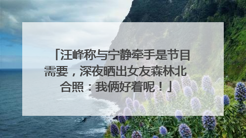 汪峰称与宁静牵手是节目需要，深夜晒出女友森林北合照：我俩好着呢！