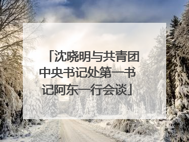 沈晓明与共青团中央书记处第一书记阿东一行会谈