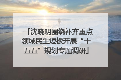 沈晓明围绕补齐重点领域民生短板开展“十五五”规划专题调研