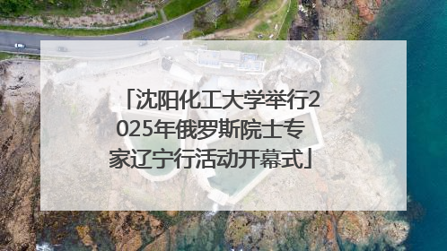 沈阳化工大学举行2025年俄罗斯院士专家辽宁行活动开幕式