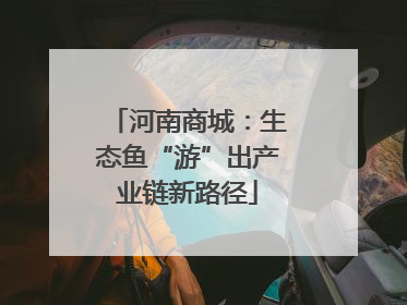 河南商城：生态鱼“游”出产业链新路径