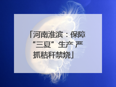 河南淮滨：保障“三夏”生产 严抓秸秆禁烧