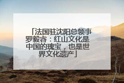 法国驻沈阳总领事罗毅睿：红山文化是中国的瑰宝，也是世界文化遗产