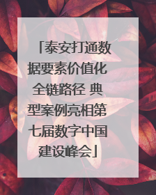 泰安打通数据要素价值化全链路径 典型案例亮相第七届数字中国建设峰会
