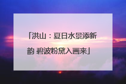洪山：夏日水景添新韵 碧波粉黛入画来