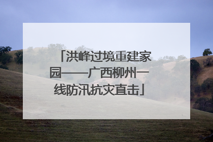 洪峰过境重建家园——广西柳州一线防汛抗灾直击