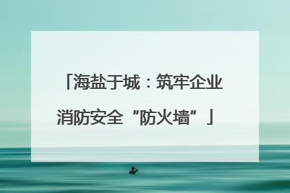 海盐于城：筑牢企业消防安全“防火墙”