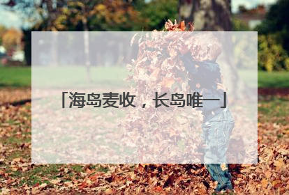 海岛麦收，长岛唯一