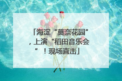 海淀“莫奈花园”，上演“稻田音乐会”！现场直击