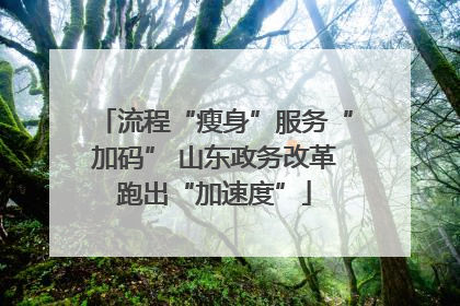 流程“瘦身”服务“加码” 山东政务改革跑出“加速度”