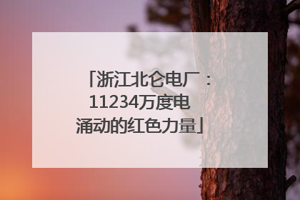浙江北仑电厂：11234万度电涌动的红色力量