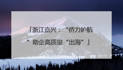 浙江嘉兴：“侨力护航”助企高质量“出海”