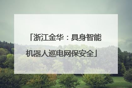 浙江金华：具身智能机器人巡电网保安全
