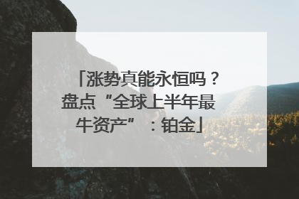 涨势真能永恒吗？盘点“全球上半年最牛资产”：铂金