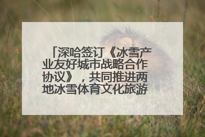 深哈签订《冰雪产业友好城市战略合作协议》，共同推进两地冰雪体育文化旅游高质量发展