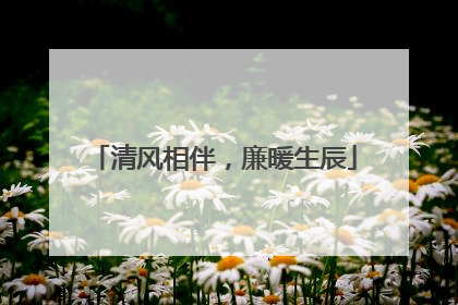 清风相伴，廉暖生辰