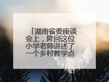 湖南省委座谈会上，隆回这位小学老师讲述了一个乡村教学点的温暖故事