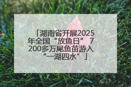 湖南省开展2025年全国“放鱼日” 7200多万尾鱼苗游入“一湖四水”