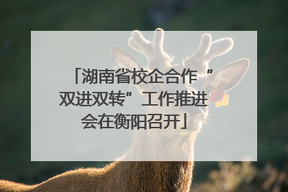 湖南省校企合作“双进双转”工作推进会在衡阳召开