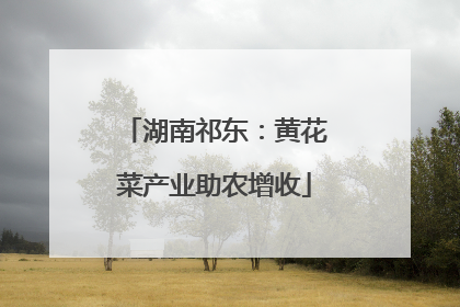 湖南祁东：黄花菜产业助农增收