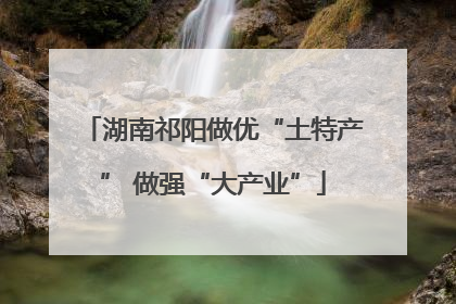 湖南祁阳做优“土特产” 做强“大产业”
