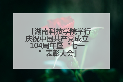 湖南科技学院举行庆祝中国共产党成立104周年暨“七一”表彰大会