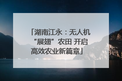 湖南江永：无人机“展翅”农田 开启高效农业新篇章