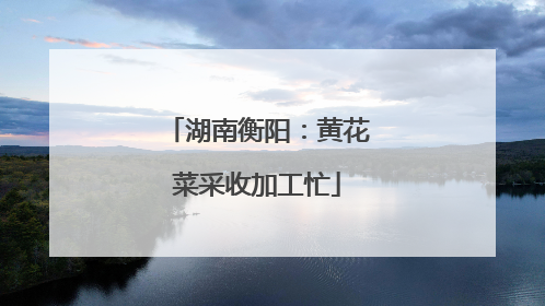 湖南衡阳：黄花菜采收加工忙