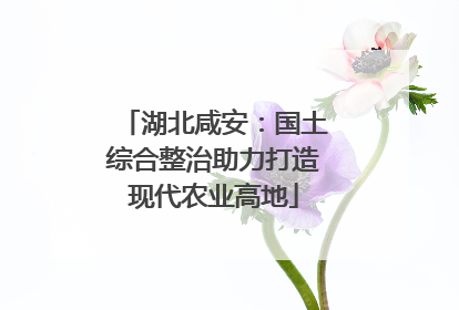 湖北咸安：国土综合整治助力打造现代农业高地