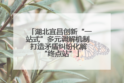 湖北宜昌创新“一站式”多元调解机制 打造矛盾纠纷化解“终点站”