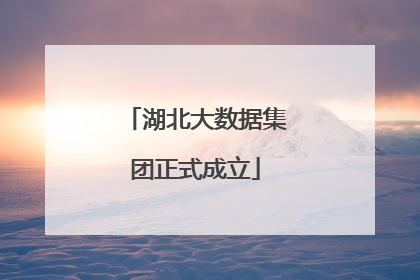 湖北大数据集团正式成立