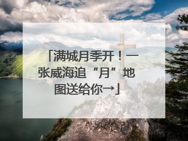 满城月季开！一张威海追“月”地图送给你→