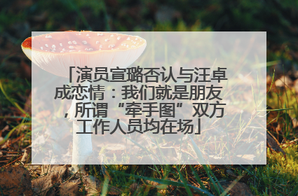 演员宣璐否认与汪卓成恋情：我们就是朋友，所谓“牵手图”双方工作人员均在场