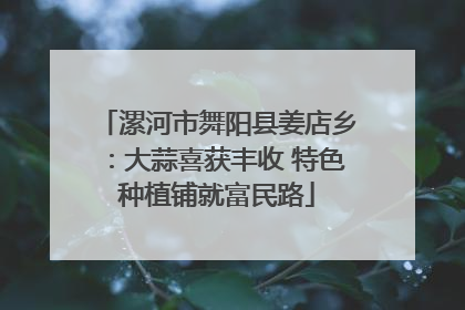 漯河市舞阳县姜店乡：大蒜喜获丰收 特色种植铺就富民路