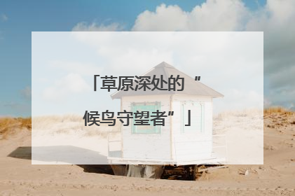草原深处的“候鸟守望者”