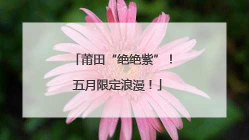 莆田“绝绝紫”！五月限定浪漫！