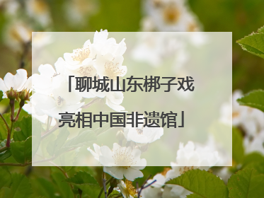 聊城山东梆子戏亮相中国非遗馆