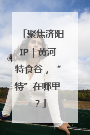 聚焦济阳IP｜黄河特食谷，“特”在哪里？
