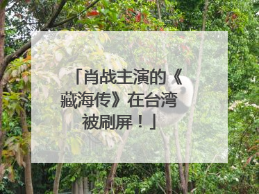 肖战主演的《藏海传》在台湾被刷屏！