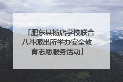 肥东县杨店学校联合八斗派出所举办安全教育志愿服务活动