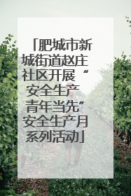 肥城市新城街道赵庄社区开展“安全生产 青年当先”安全生产月系列活动